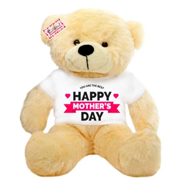 2 feet big peach teddy bear wearing YOU ARE THE BEST Happy Mothers Day T-shirt